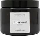 The Olphactory Hilarious Cannabis Scented Candle 360g