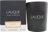 Lalique Candle 190g - Neroli Casablanca