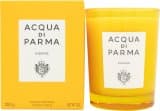 Acqua di Parma Insieme Candle 200g